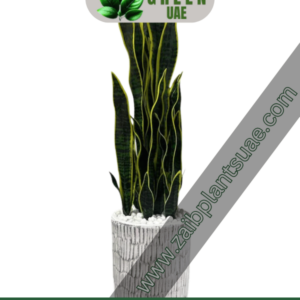 Artificial SnakeplantGrass