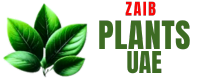 ZAIB_PLANTS_UAE_LOGO